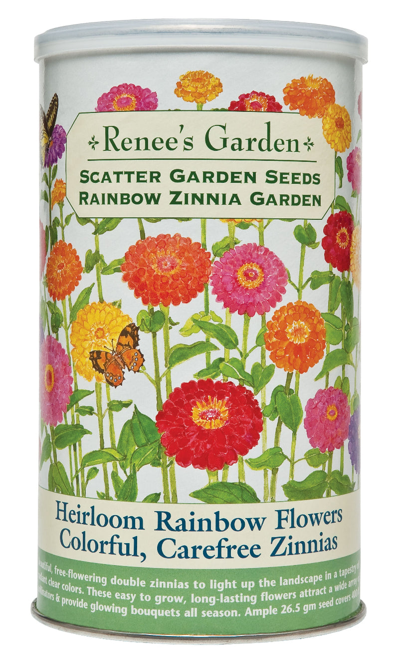 SCATTER CAN GARDEN RAINBOW ZINNIA