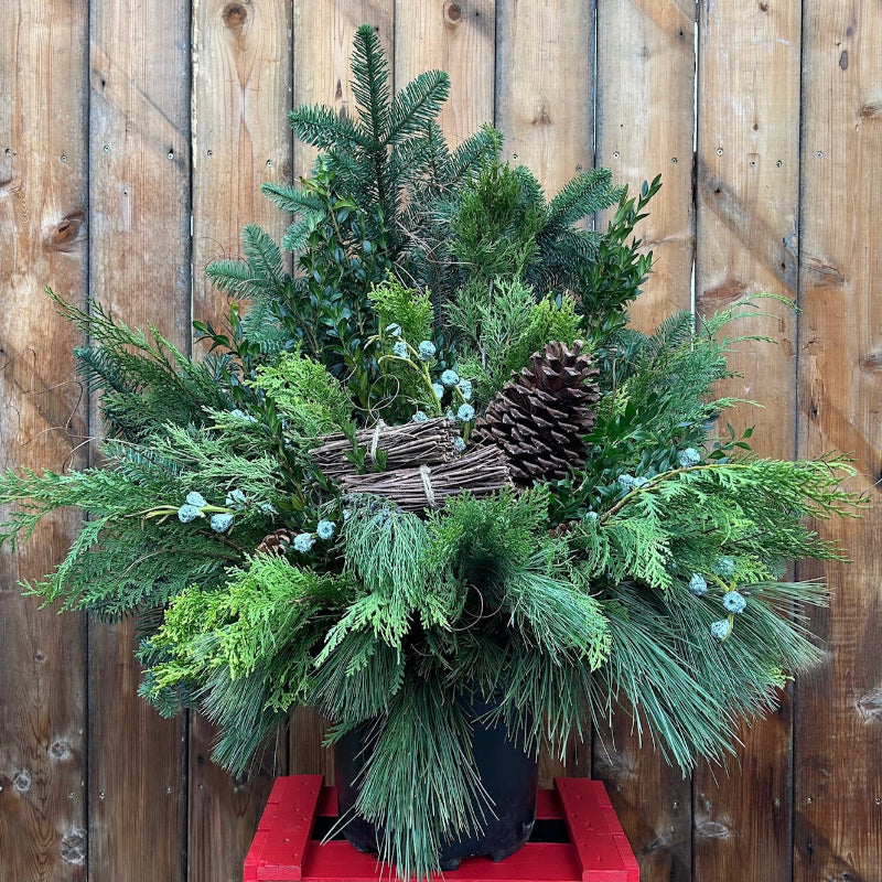 FOREST CHARM FESTIVE PLANTER