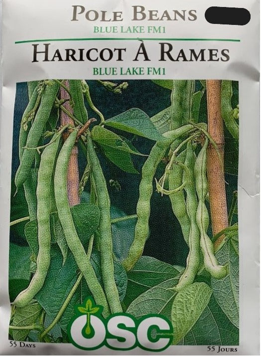Seed- Pole Bean Blue Lake FM1
