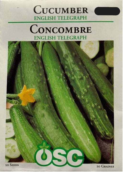 Seed- Slicing Cucumber English Telegraph