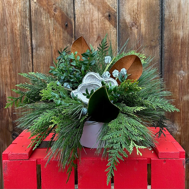 BRILLIANT BOXWOOD CENTREPIECE