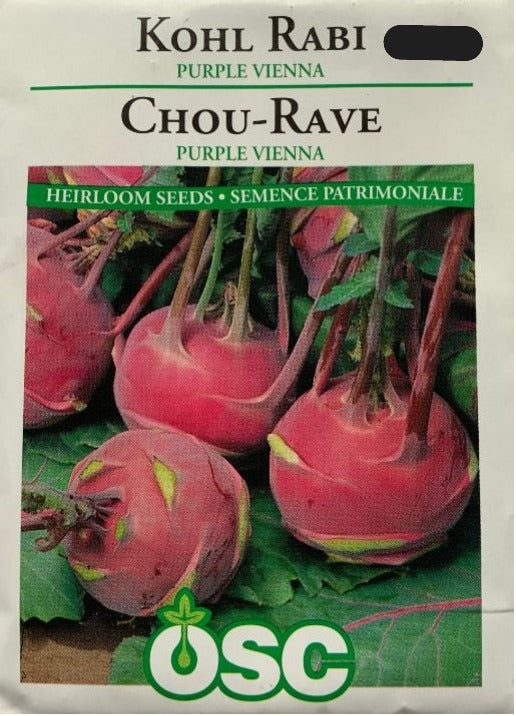 Seed- Kohl Rabi Purple Vienna