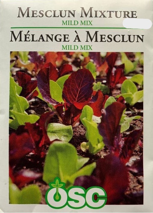 Seed - Mesclun Mixture Mild Mix
