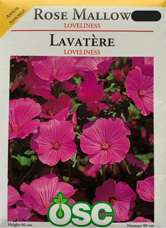 Seed- Rose Mallow Loveliness