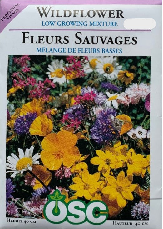 Seed - Wildflower Low Growing Mix