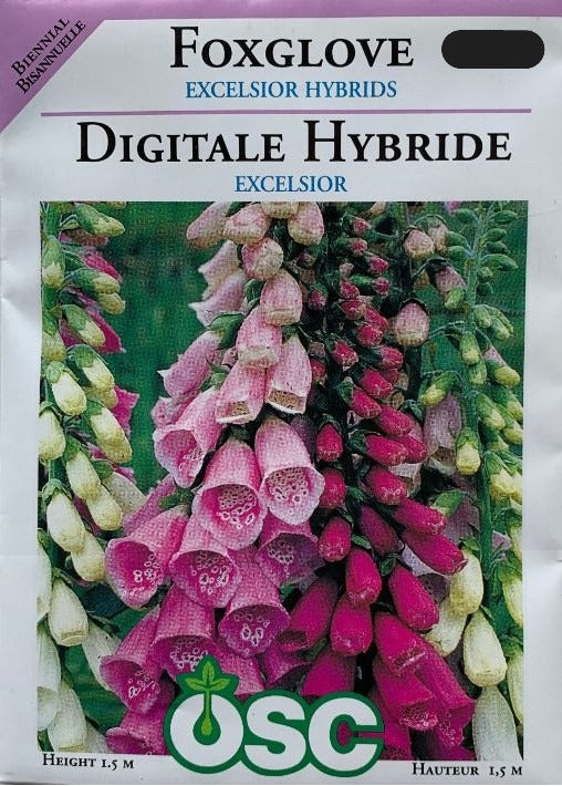 Seed- Foxglove Excelsior Hybrids
