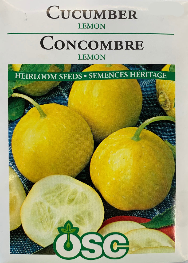 Seed- Cucumber Lemon