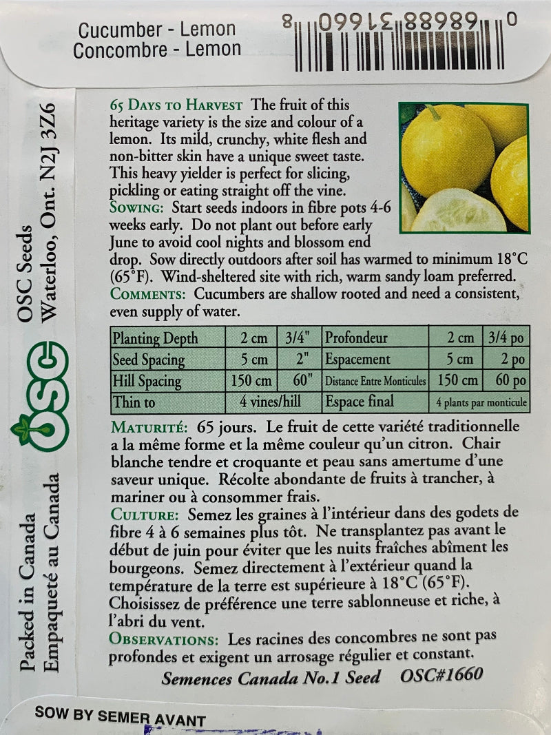 Seed- Cucumber Lemon