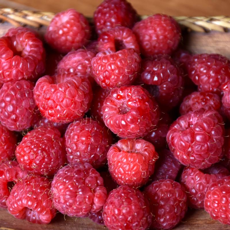 RASPBERRY HERITAGE