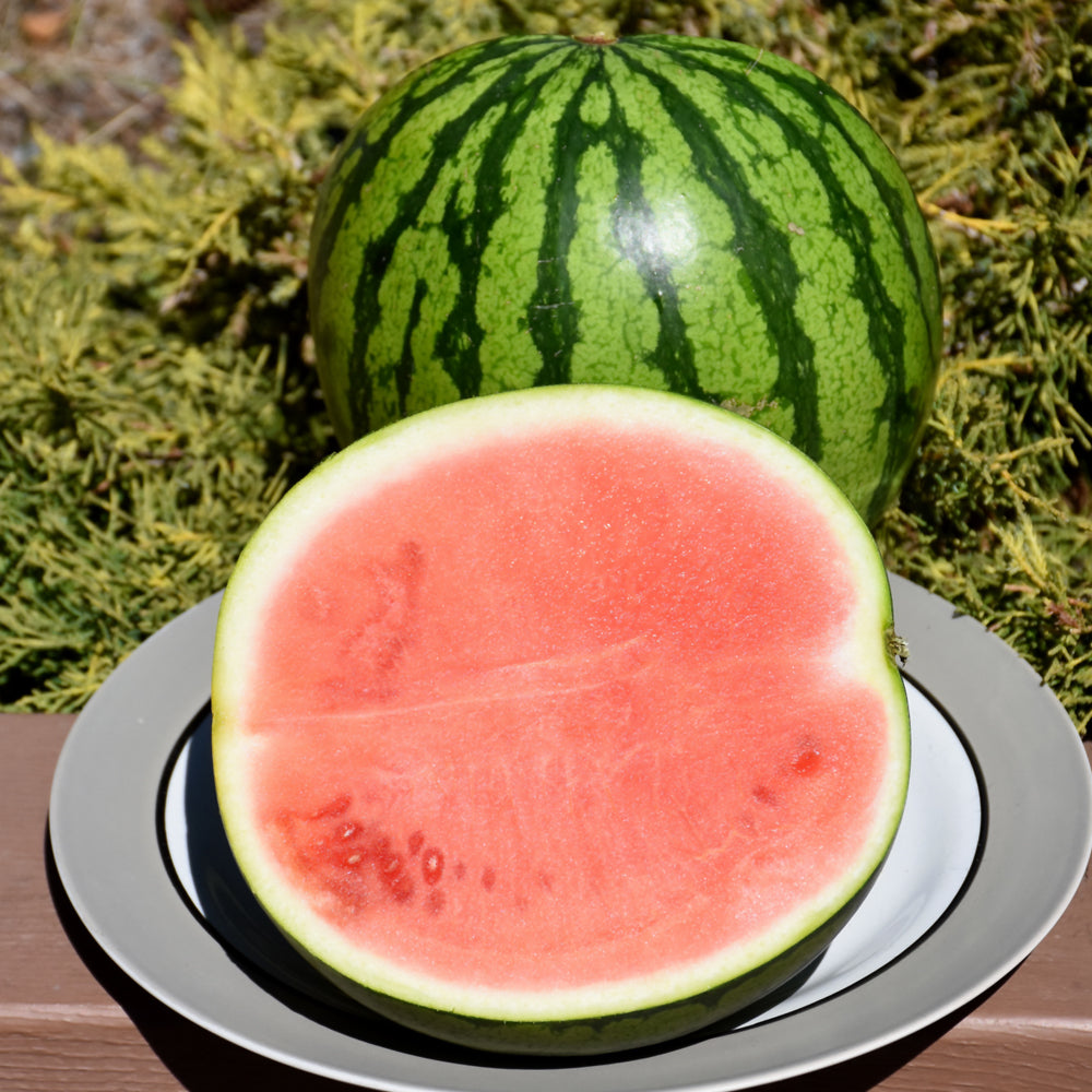 Seed- Watermelon Crimson Sweet