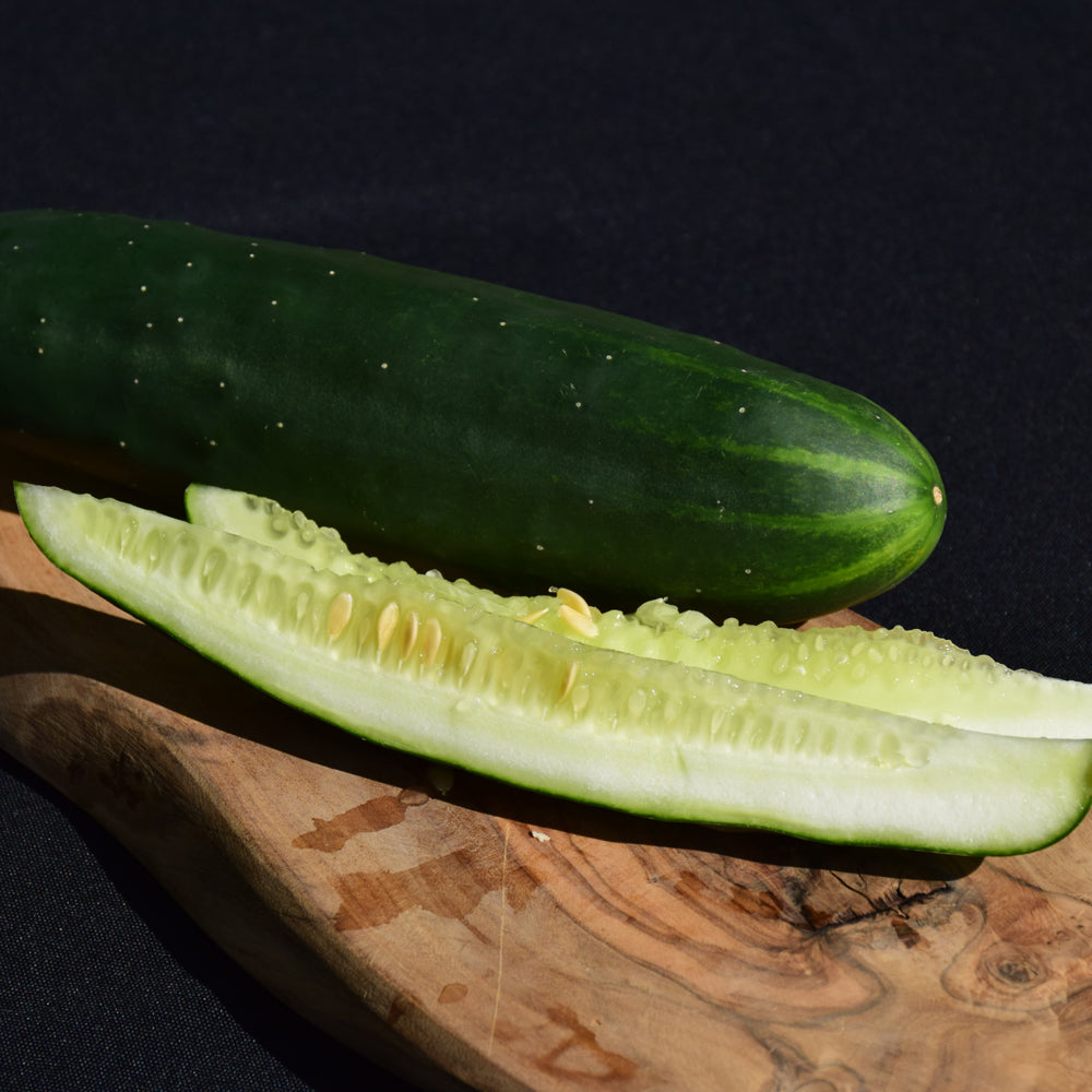Seed- Cucumber Marketmore