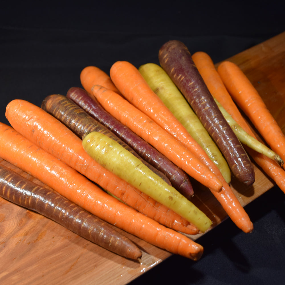 Seed- Carrots Rainbow Blend