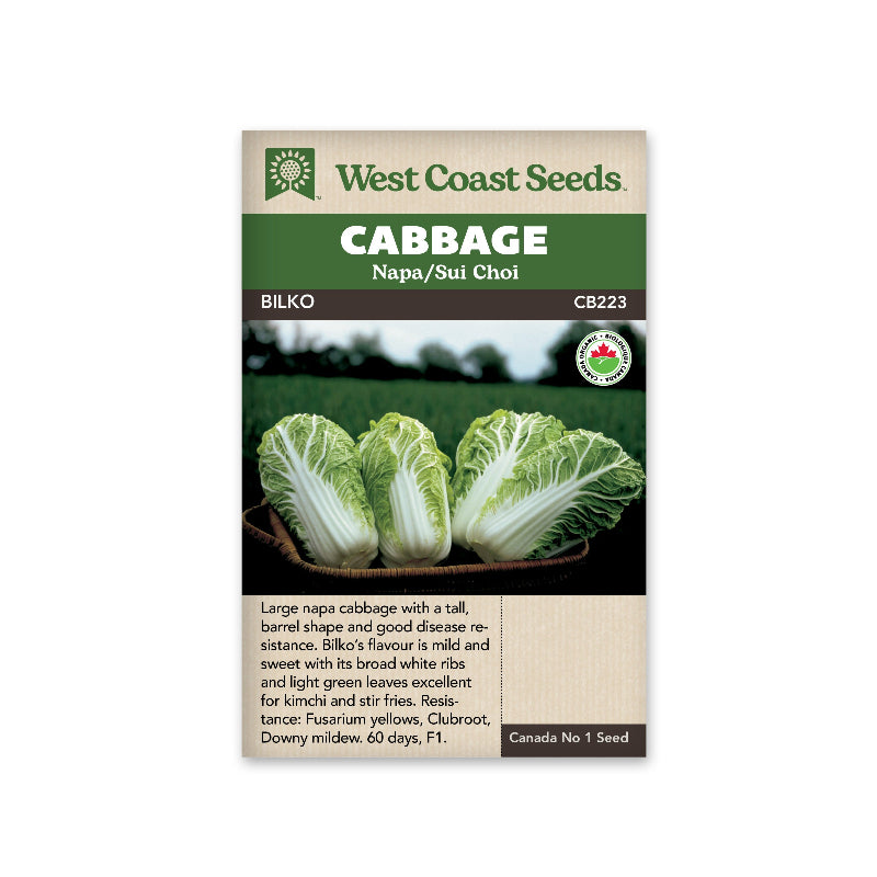 WCS ORGANIC SEED- CABBAGE BILKO