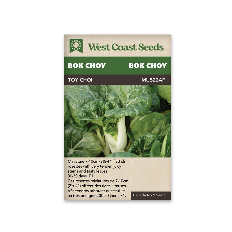 WCS SEED- BOK CHOI TOY CHOI