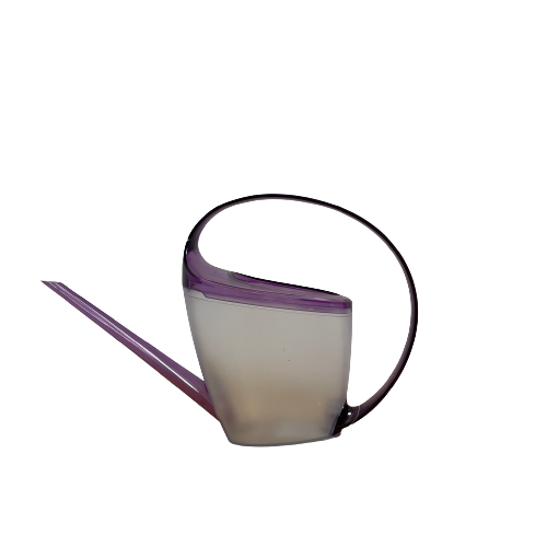 INDOOR VIOLET WATERING CAN