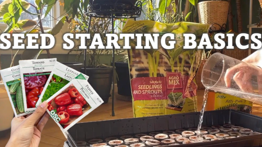 Let's get GROWING! A guide to seed starting!