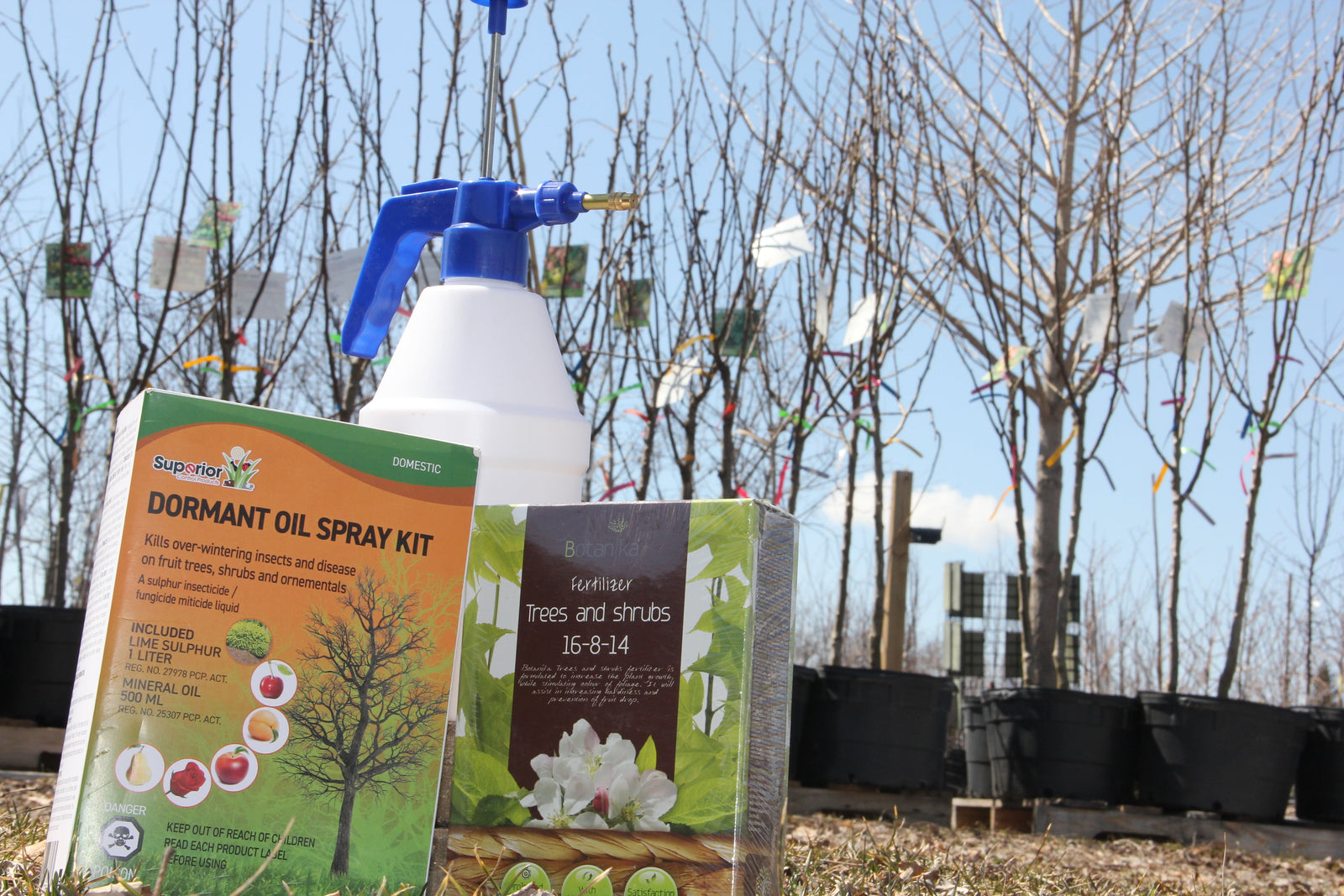 Maintaining your fruit trees