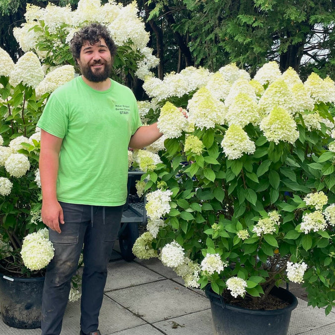 Our Products – Knippel Garden Centre