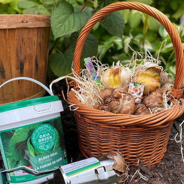 View Seeds, Bulbs & Seed Starting Essentials