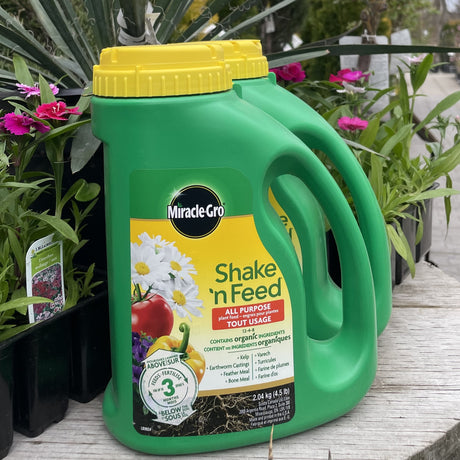 Slow Release Fertilizer