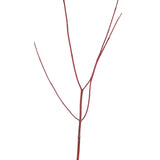 DOGWOOD REDTWIG