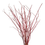DOGWOOD REDTWIG