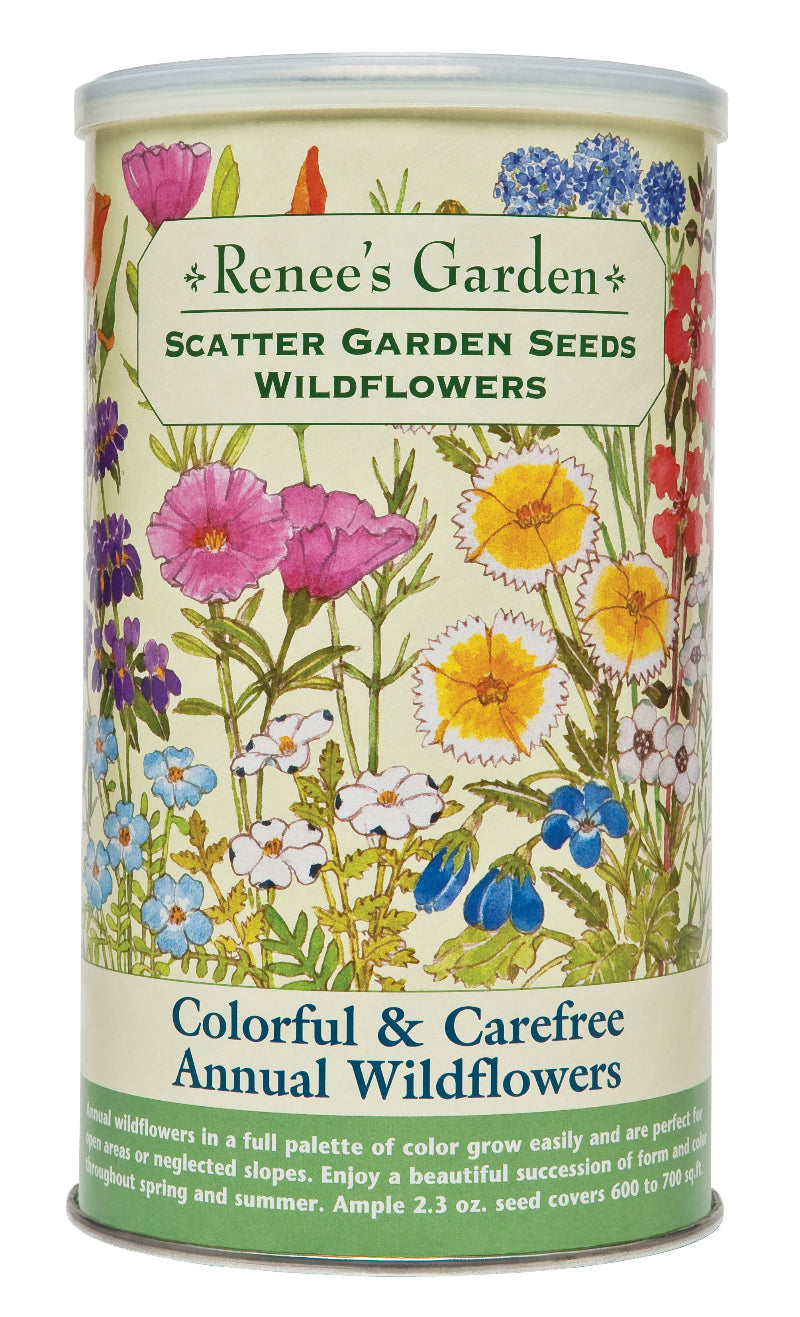 SCATTER CAN ANNUAL WILDFLOWERS