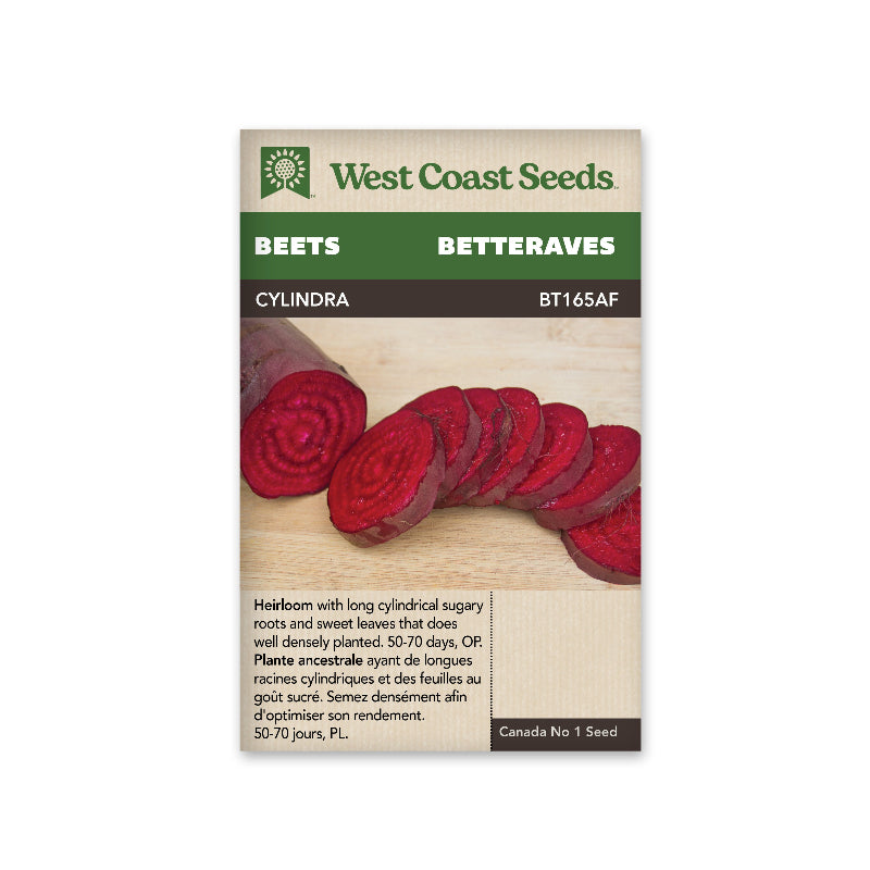 WCS SEED- BEETS CYLINDRA