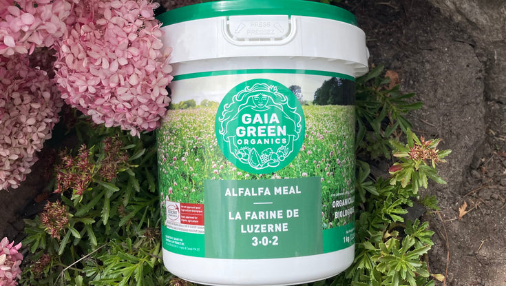 Our Products – Knippel Garden Centre