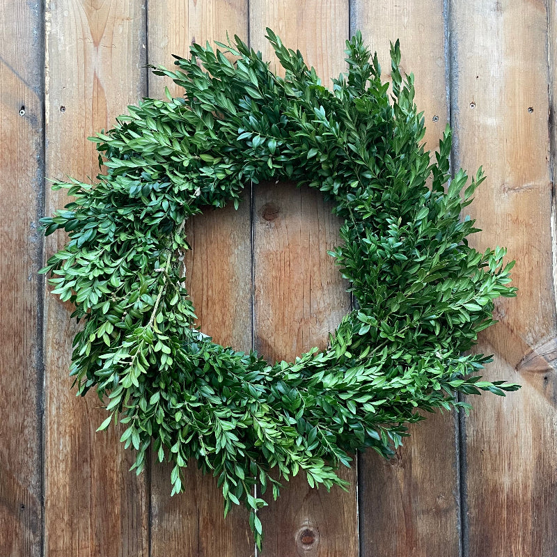 BOXWOOD WREATH 20"