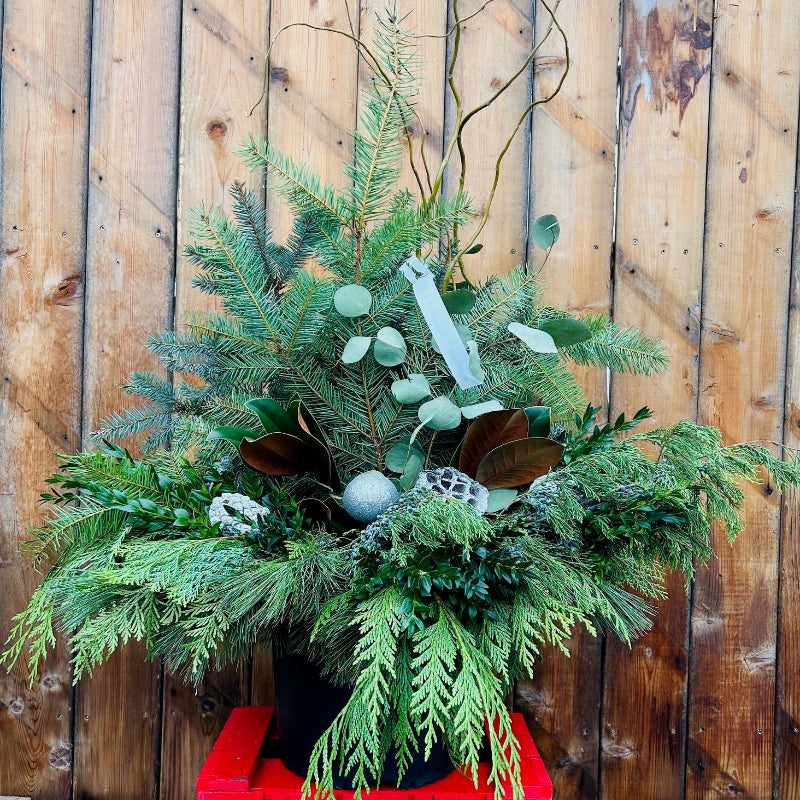 FROST & FLORA FESTIVE PLANTER