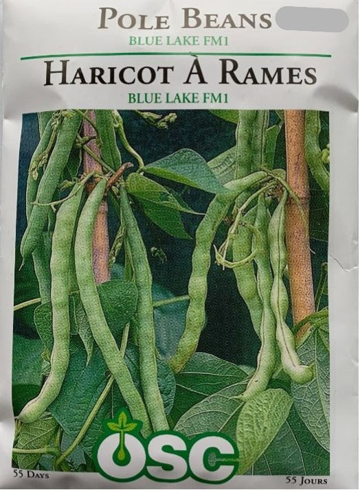 Seed- Pole Beans Blue Lake FM-1