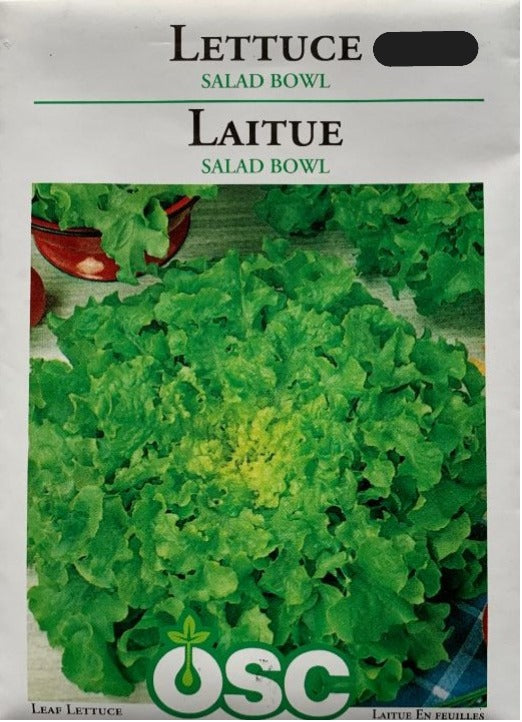 Seed Tapes- Lettuce Salad Bowl