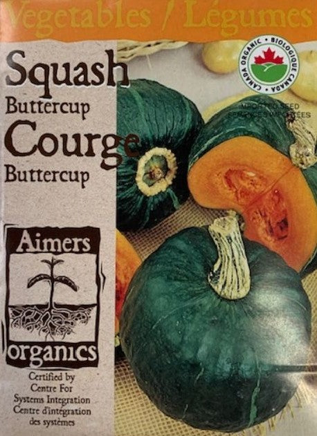 Organic Seed- Squash Buttercup