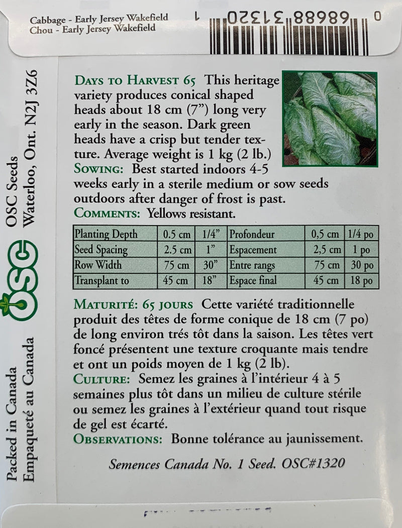 Seed- Cabbage Early Jersey Wakefield