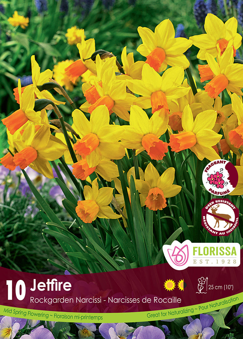 NARCISSUS JETFIRE