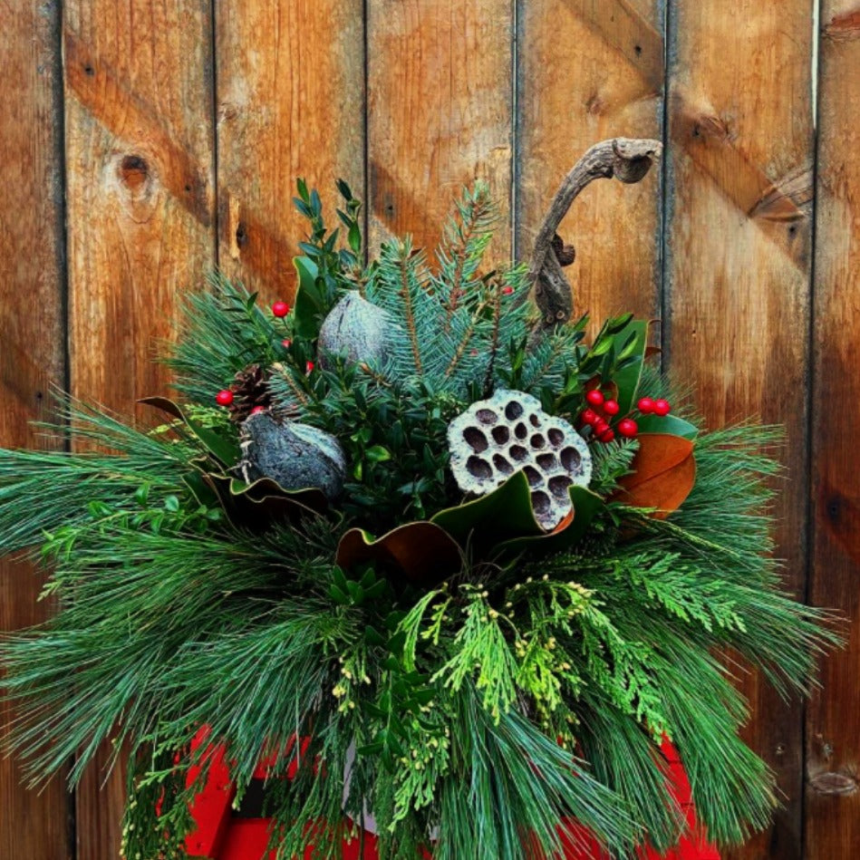 PETITE PORCH HOLIDAY PLANTER WORKSHOP NOVEMBER 3O 11AM