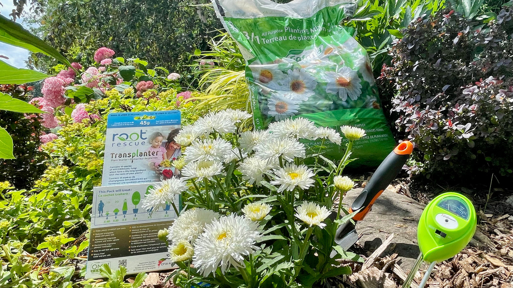 Peter Knippel Nursery - Welcome to Peter Knippel Garden Centre, Ottawa