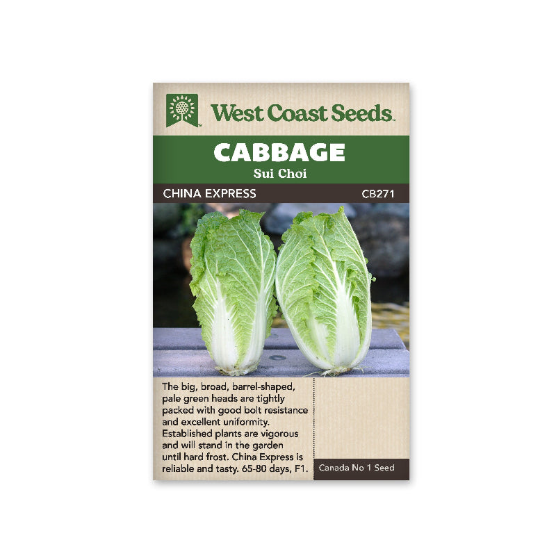 WCS SEED- CABBAGE CHINA EXPRES
