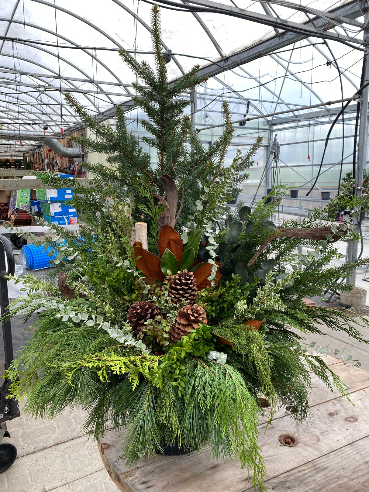 WOODLAND WONDER HOLIDAY PLANTER SEMINAR  NOVEMBER 22 at 11AM