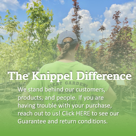 Peter Knippel Nursery - Welcome to Peter Knippel Garden Centre, Ottawa