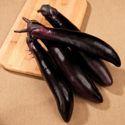 Eggplant - Shikou