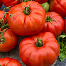 Tomato - Beefsteak Bush
