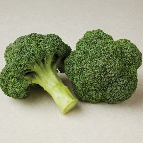 Broccoli