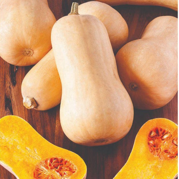 Squash - Butternut