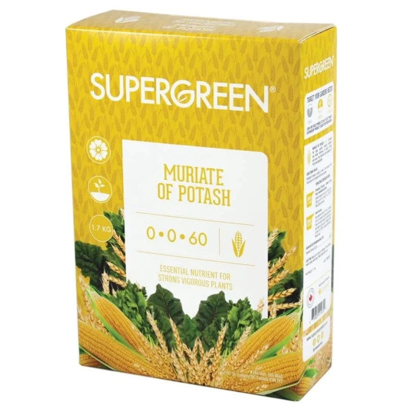 Supergreen Muriate of Potash 0-0-60