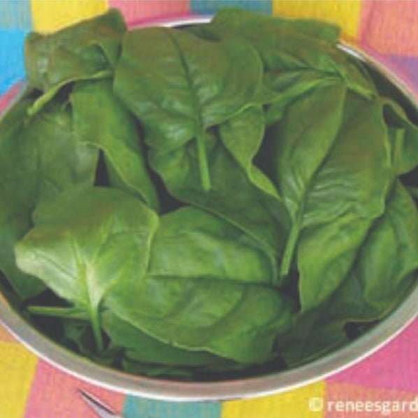 Spinach