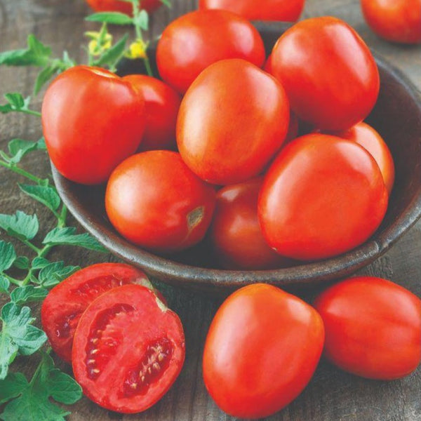 Tomato - Roma