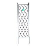 Trellis Diamond Design