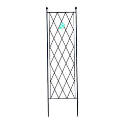 Trellis Diamond Design